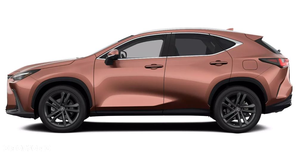 Lexus NX 350h Prestige AWD - 7