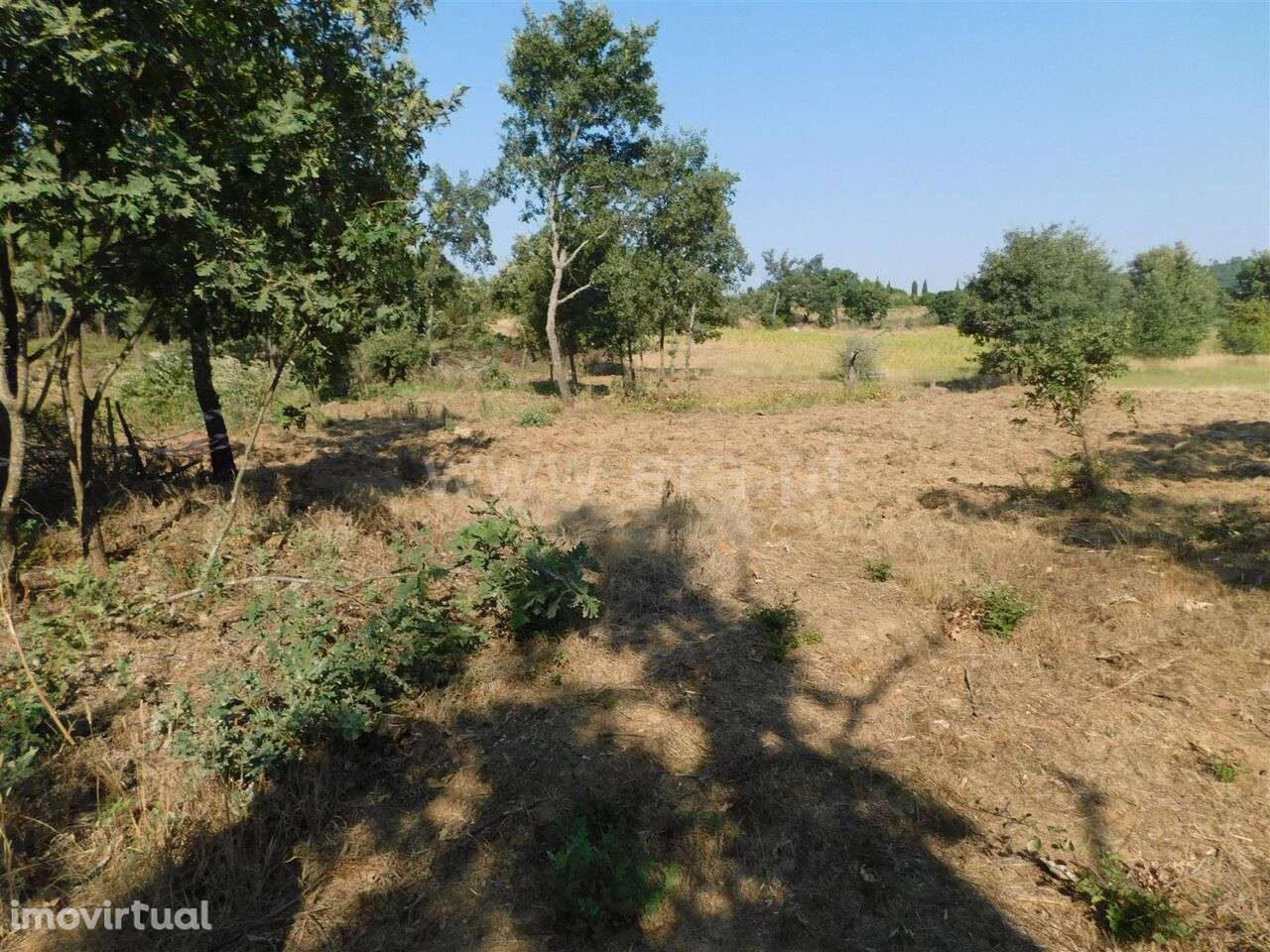 Terreno Rústico / Fundão, Capinha - Grande imagem: 3/3