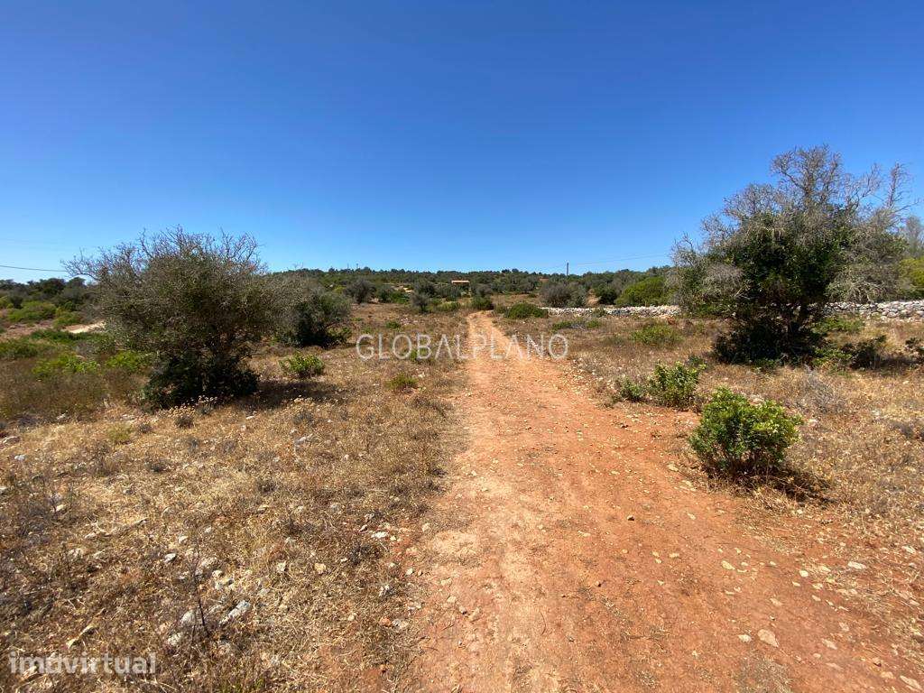 Fantástico terreno rural com viabilidade de construção - Grande imagem: 2/8