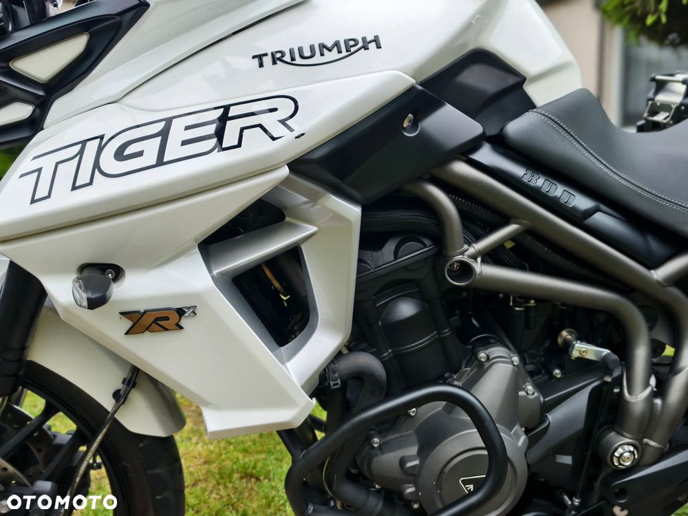 Triumph Tiger - 28