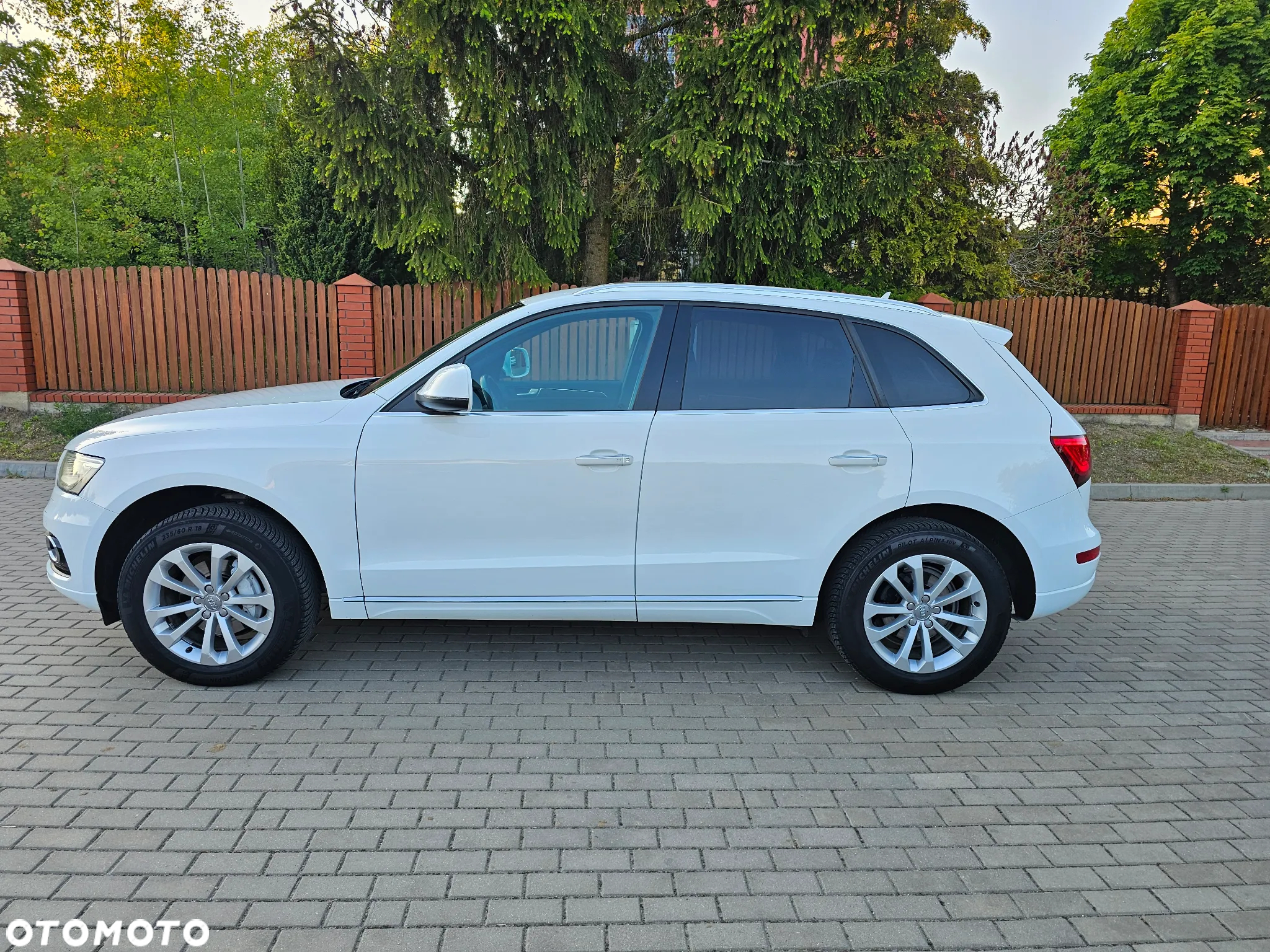 Audi Q5 2.0 TDI clean diesel Quattro S tronic - 28