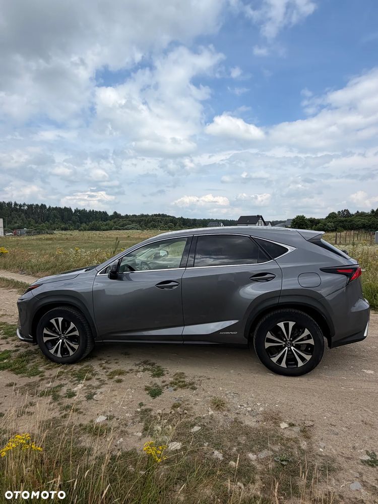 Lexus NX 300 Prestige AWD - 2