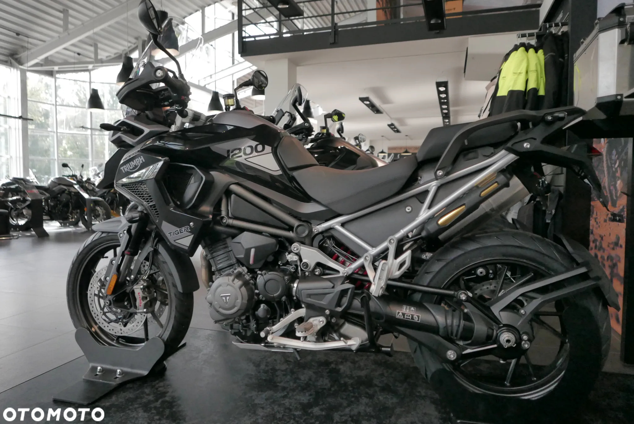 Triumph Tiger - 4
