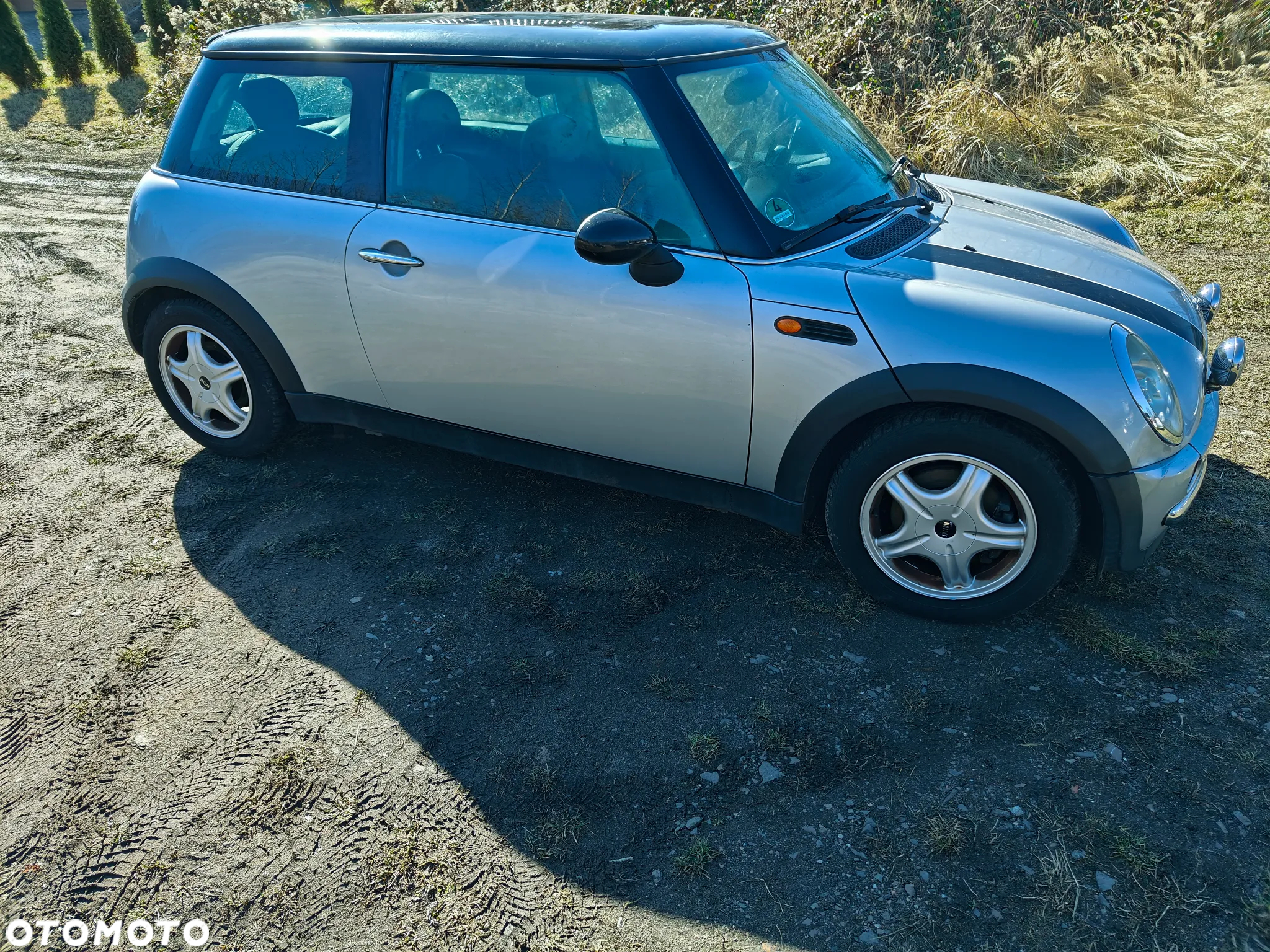 MINI Cooper pepper - 2