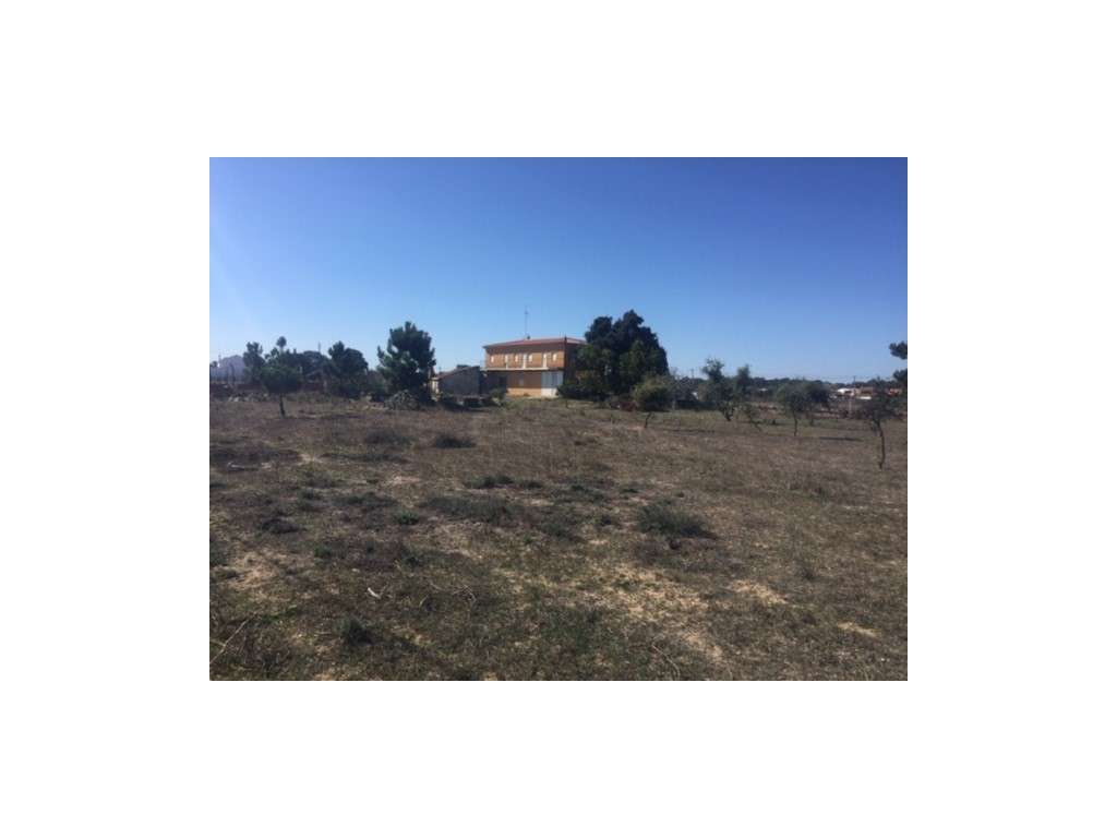 Terreno com 12.250m2 , c/ 1 Habitação e Moradia 2 Pisos c/ 210,00m2... - Grande imagem: 2/15