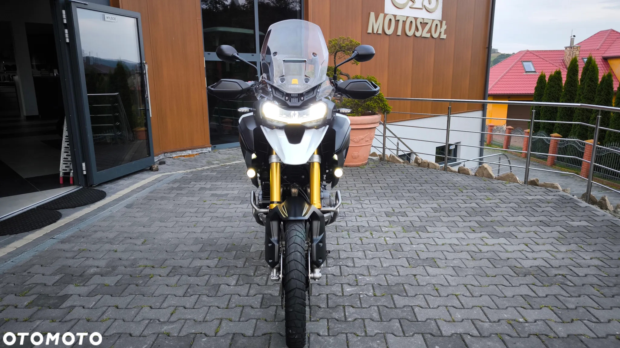 Triumph Tiger - 7