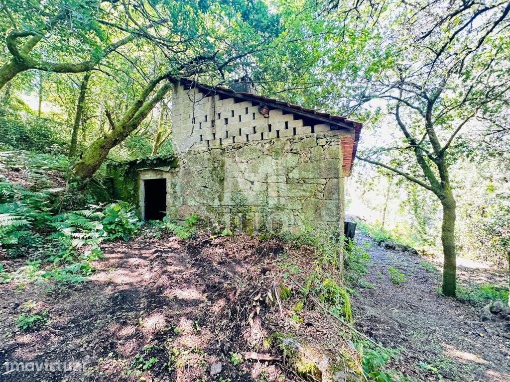 Quinta por recuperar para venda em Sande - Vila Verde - Grande imagem: 4/26