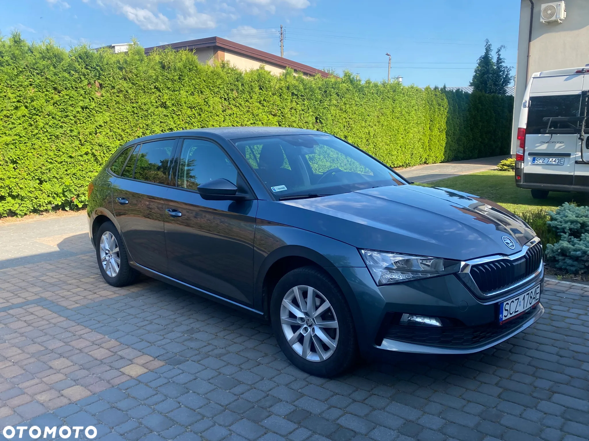 Skoda Scala - 15
