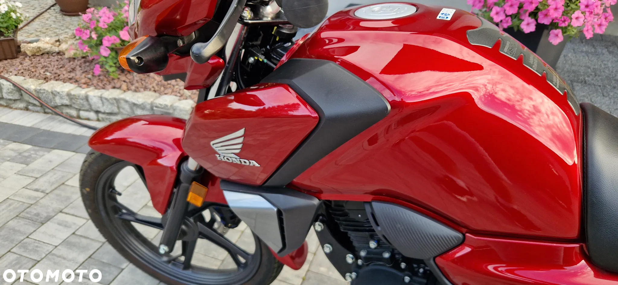 Honda CBF - 8