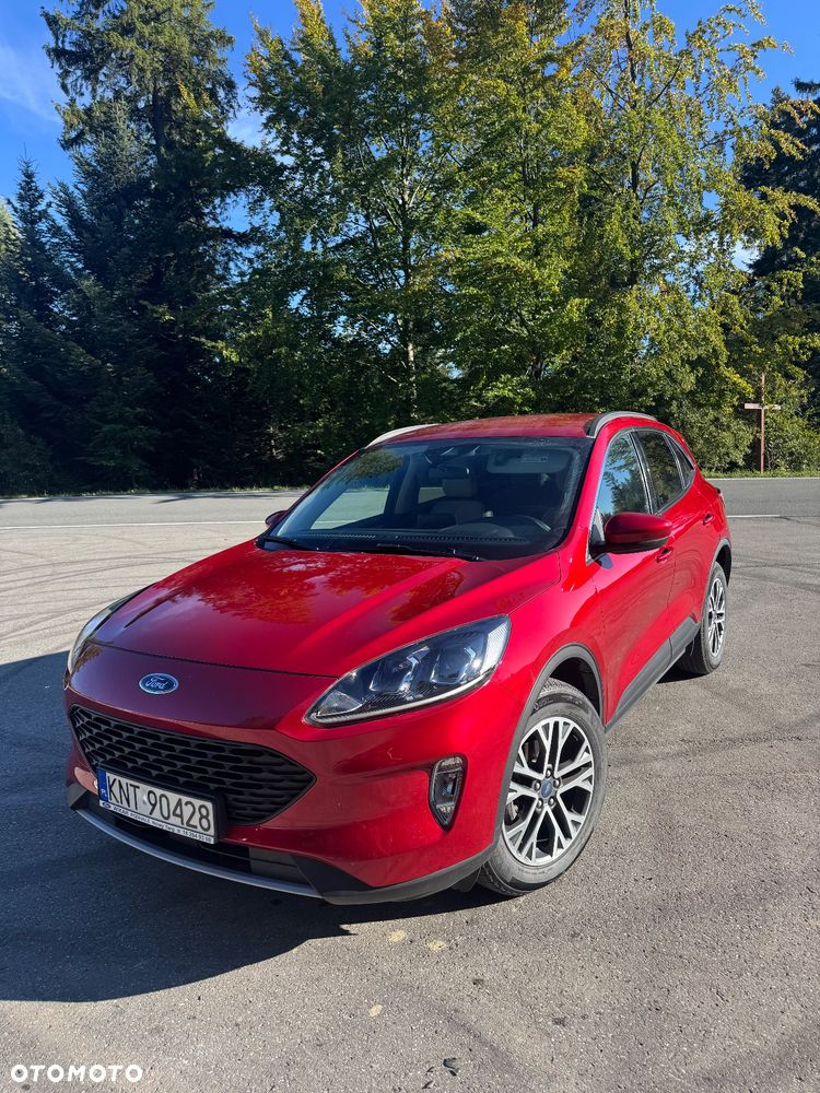 Ford Escape 1.5 EcoBoost AWD SE - 14
