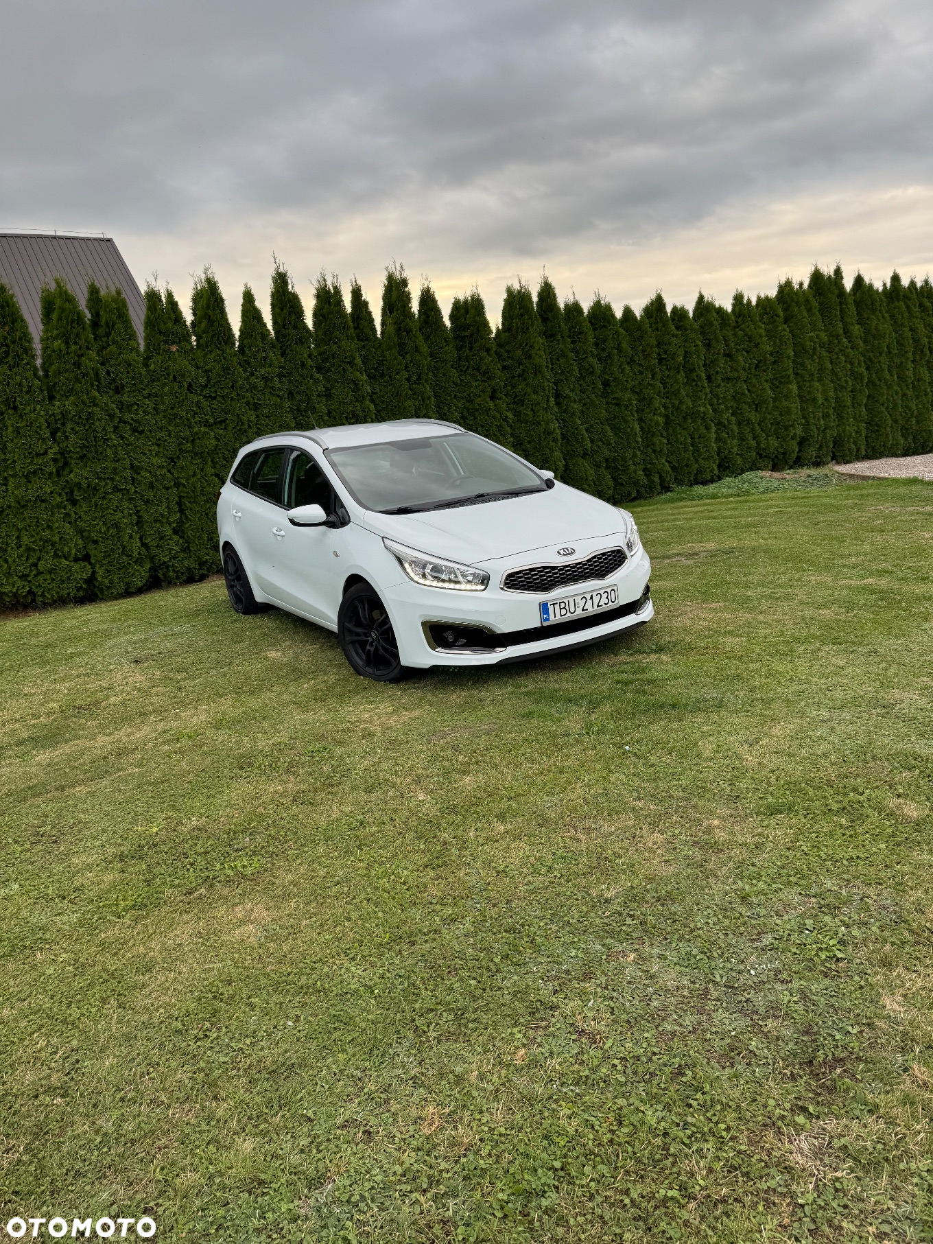 Kia Ceed - 5
