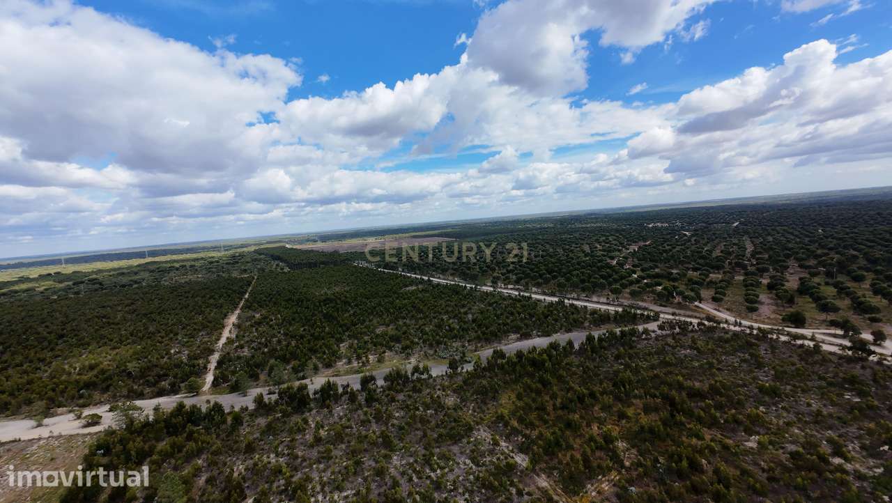 Magnifica Herdade Turística   em Santo Estêvão, Benavente - Grande imagem: 2/18