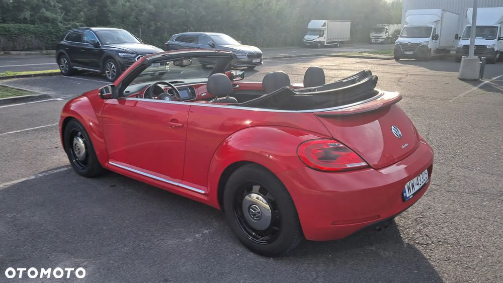 Volkswagen Beetle - 15