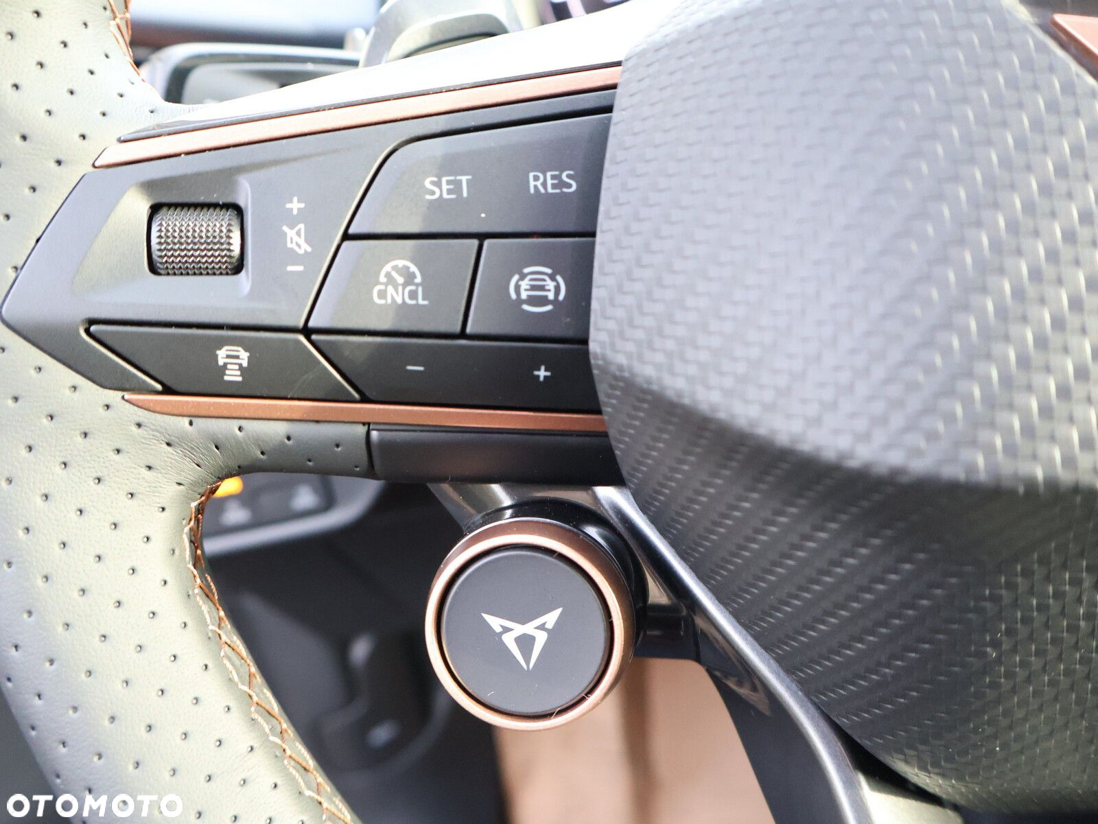 Cupra Terramar 1.5 eTSI mHEV DSG - 25