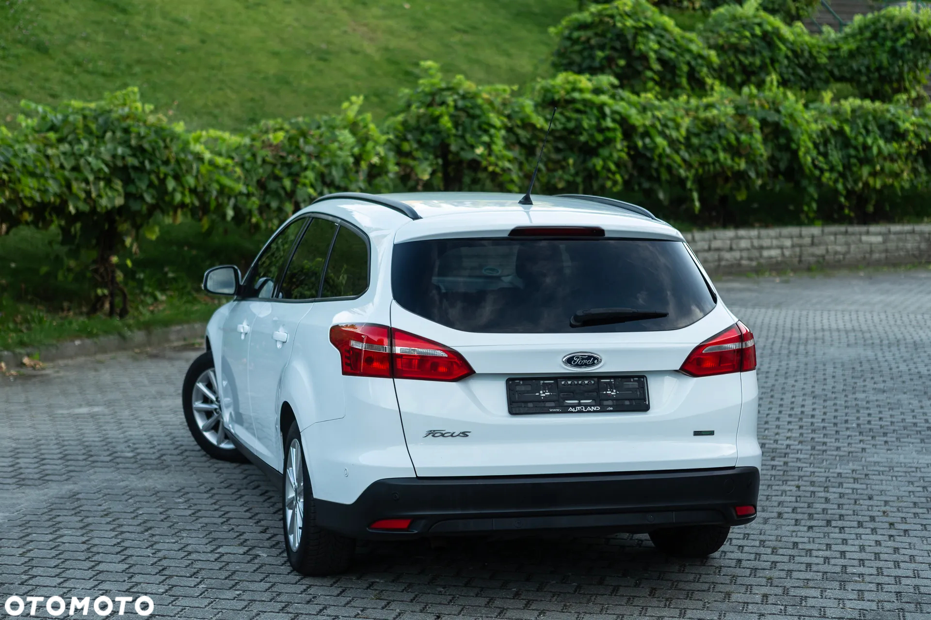 Ford Focus - 13