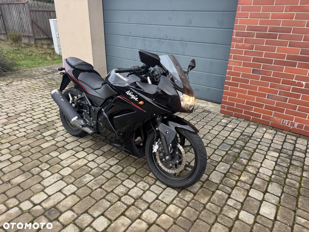 Kawasaki Ninja 250R - 4