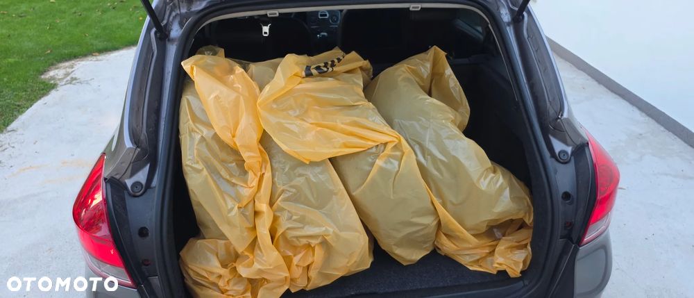 Renault Clio - 17