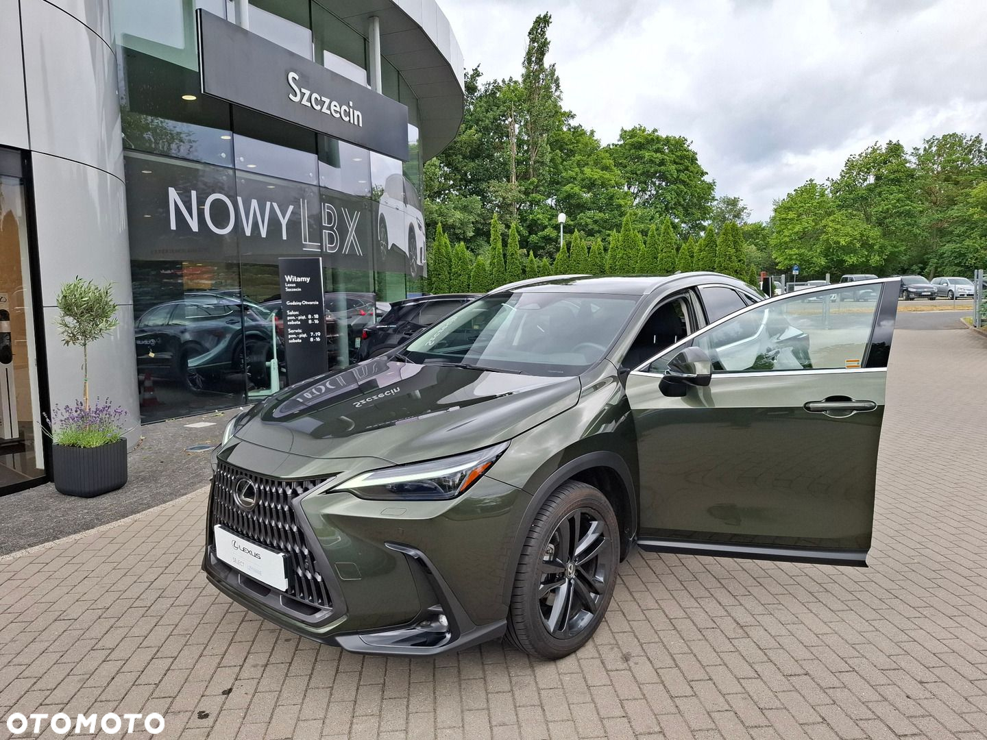 Lexus NX - 9