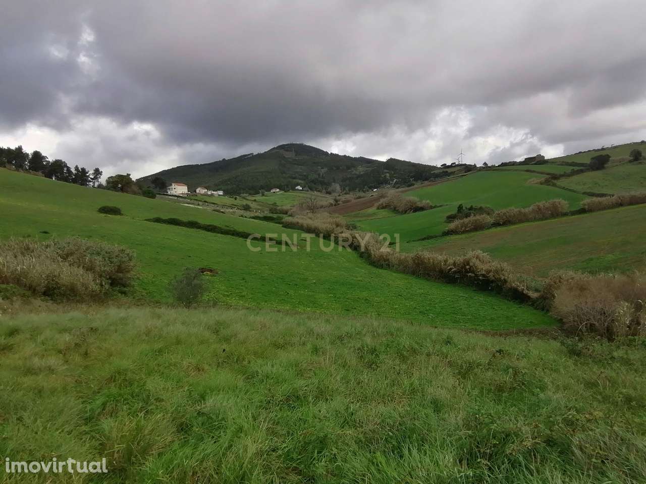 Terreno Rústico - Serra do Socorro - Grande imagem: 5/8