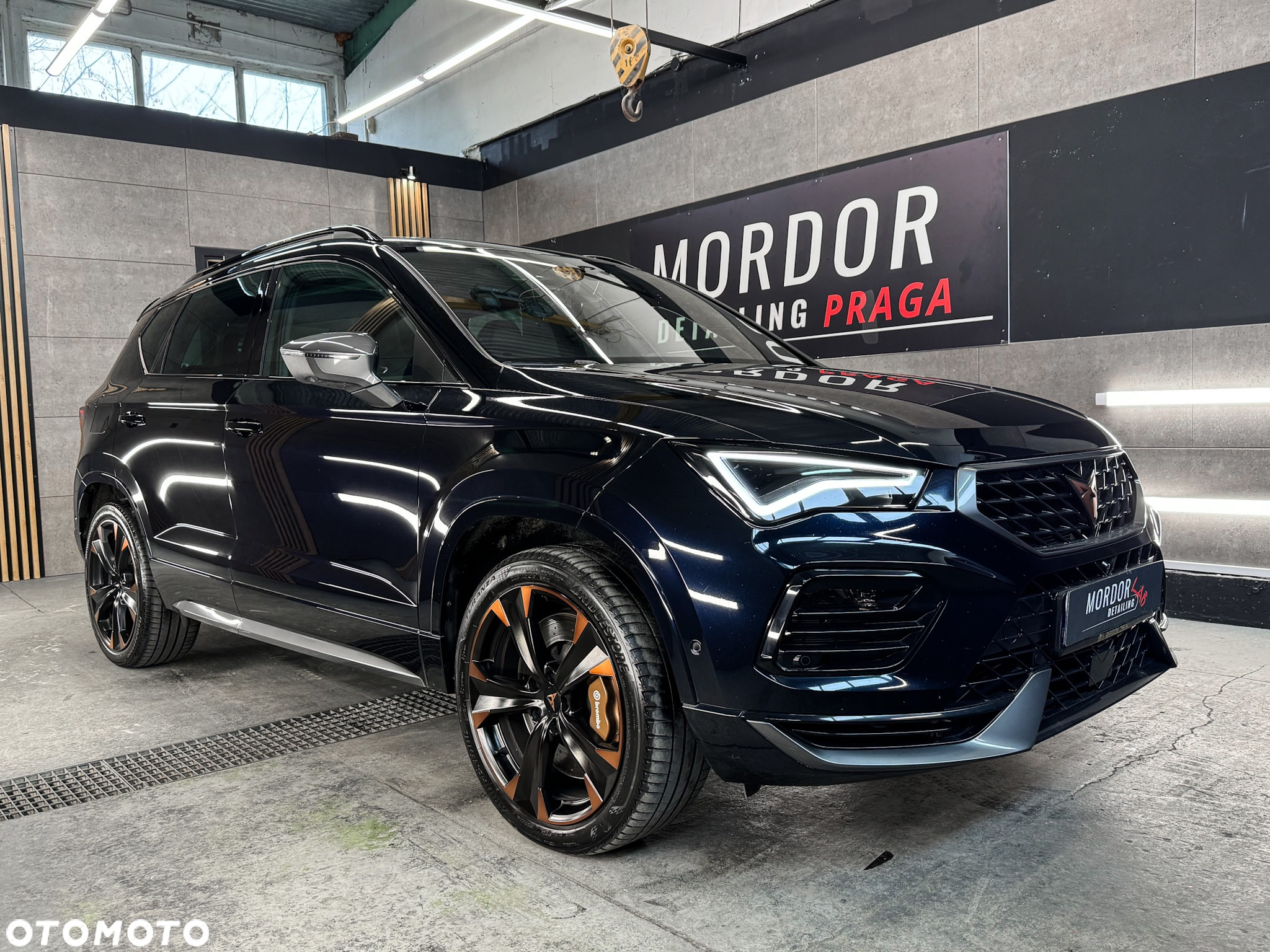 Cupra Ateca - 16