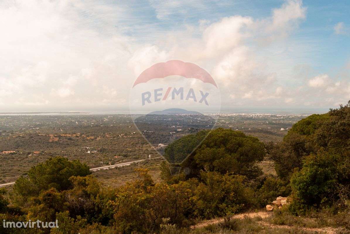 Terreno  para venda - Grande imagem: 5/29