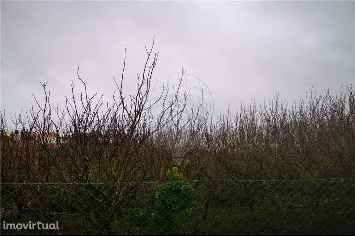 Terreno  para venda - Grande imagem: 3/3