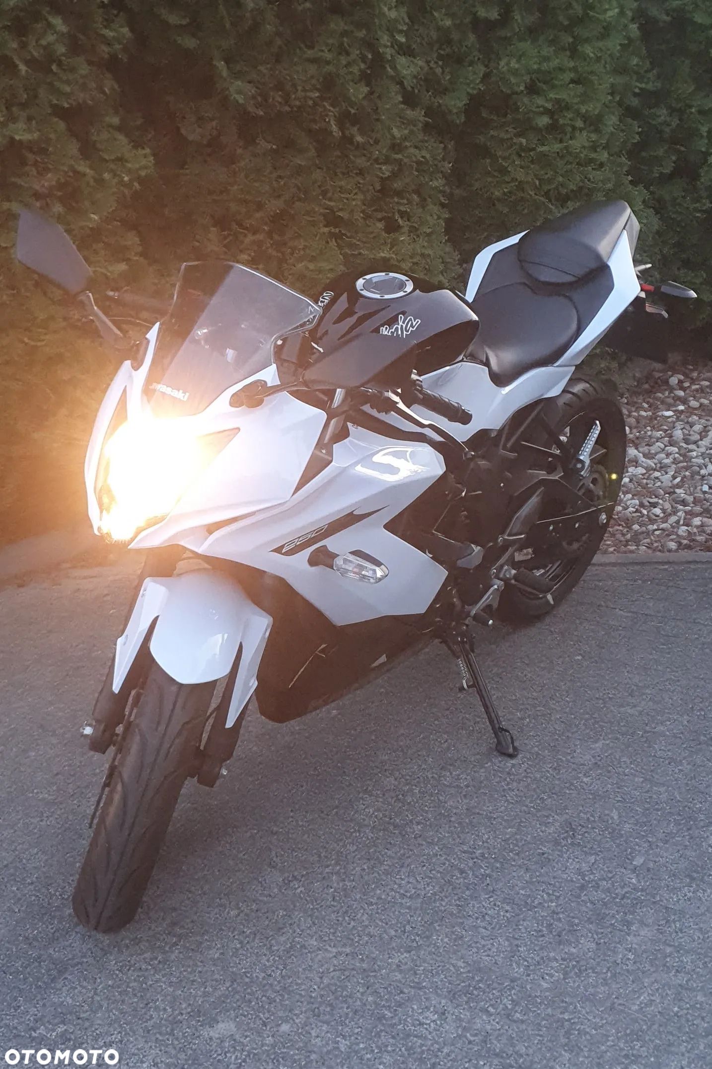 Kawasaki Ninja 250R - 1