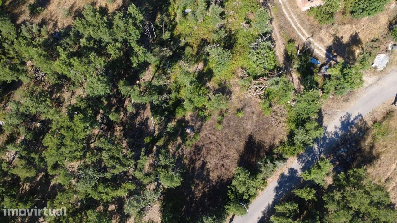 Terreno Rústico com 2.660 m2 – Feteira, Ansião - Grande imagem: 2/7
