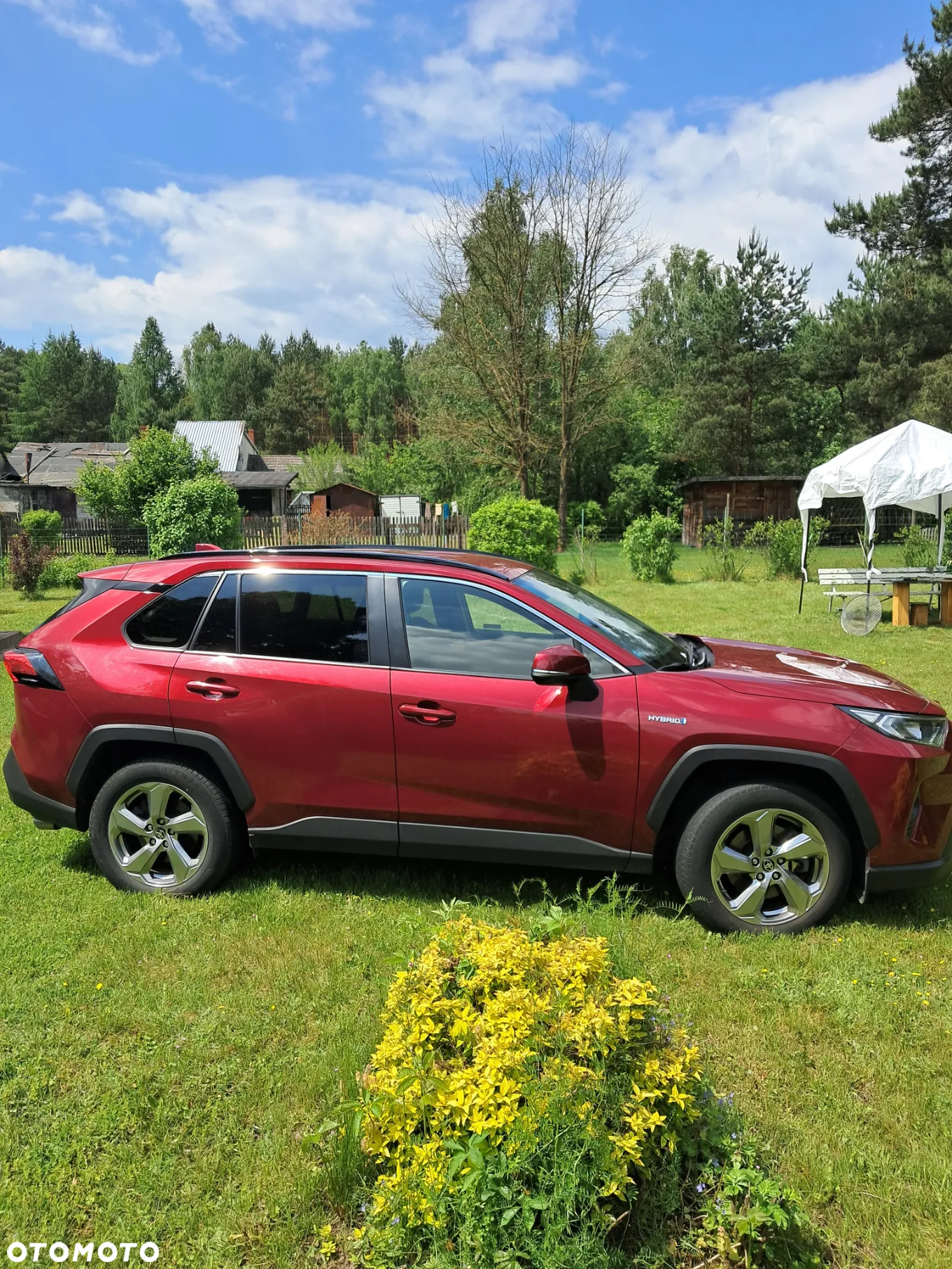 Toyota RAV4 2.5 Hybrid Comfort 4x4 - 16