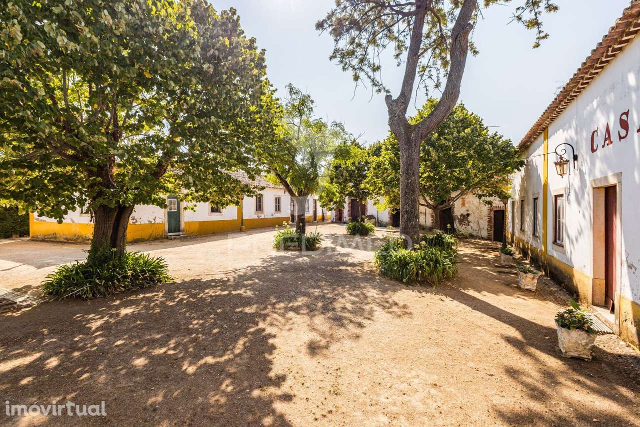 Quinta do Casalito – Comprar Quinta com Elegância, História e Poten... - Grande imagem: 4/36