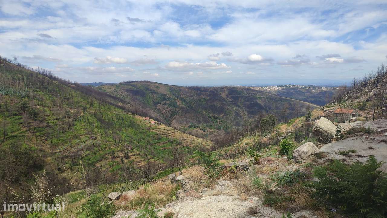 Quinta em Valezim- Seia - Grande imagem: 4/11
