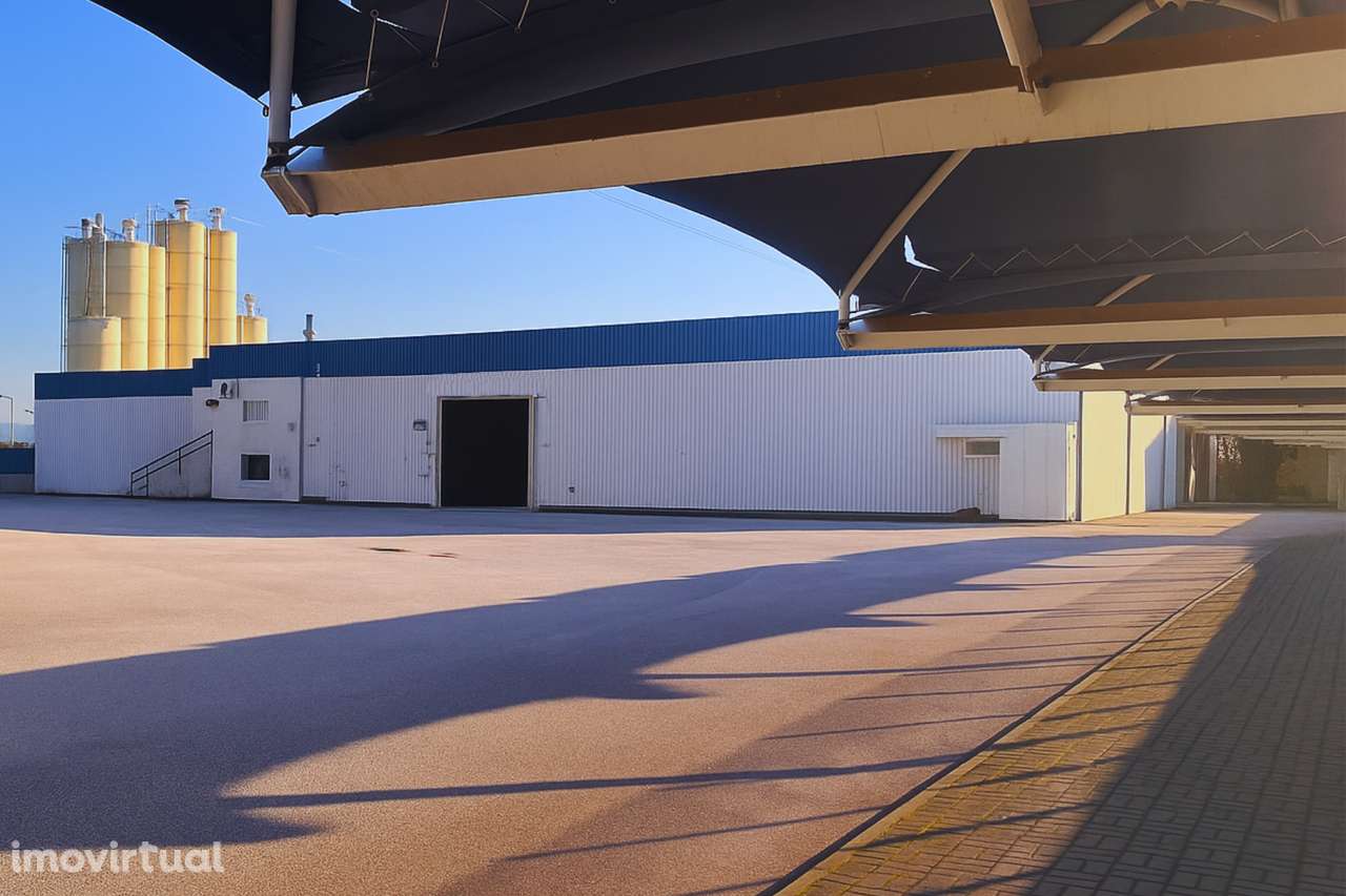 Armazém em Alféloas, Anadia - Grande imagem: 4/22