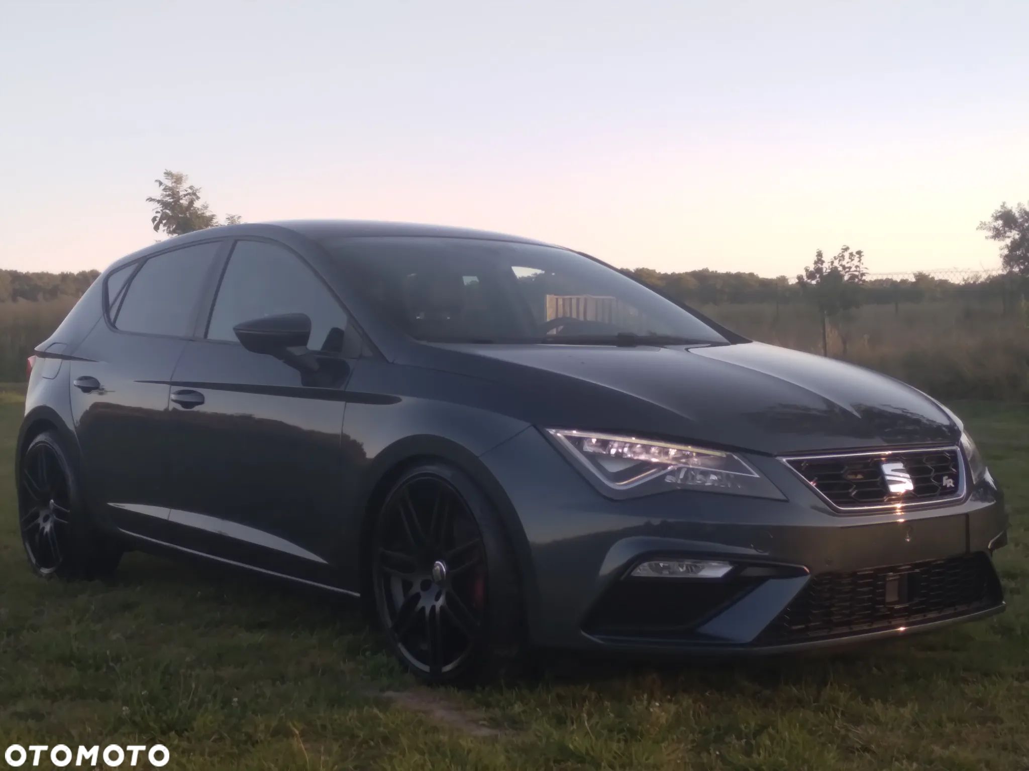 Seat Leon - 1