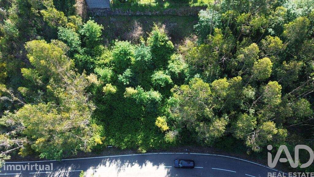 Terreno Agrícola em Lemenhe, Mouquim e Jesufrei - Grande imagem: 2/7