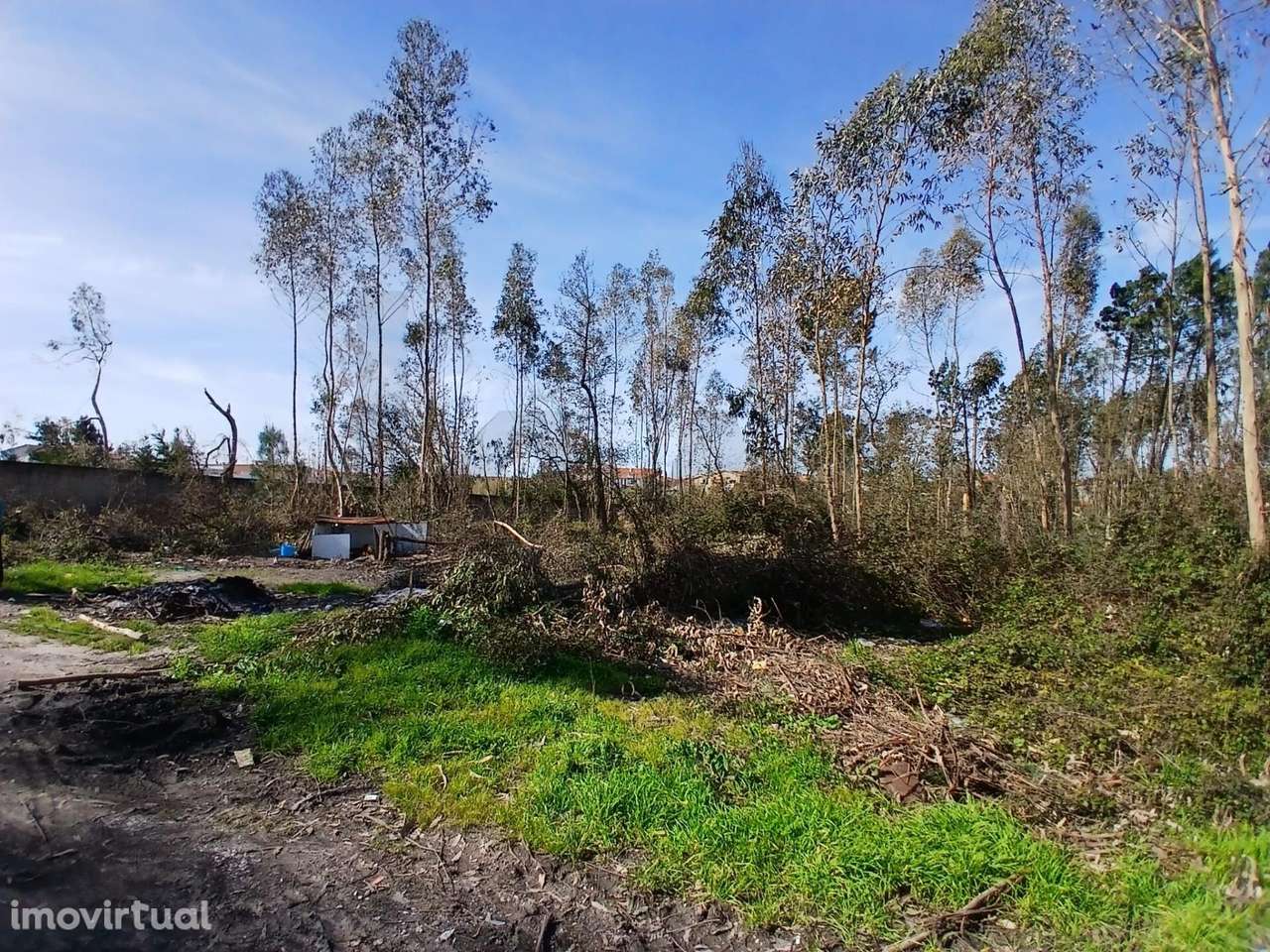 ​​​​​​​​​​​​​​Terreno com 6.970 m2 na Pedrulheira – Marinha Grande - Grande imagem: 2/19