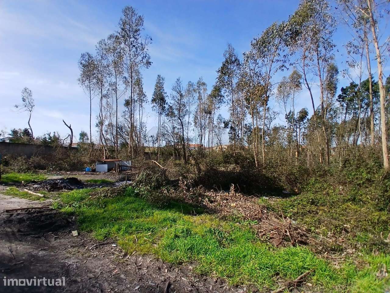​​​​​​​​​​​​​​Terreno com 6.970 m2 na Pedrulheira – Marinha Grande - Grande imagem: 3/21