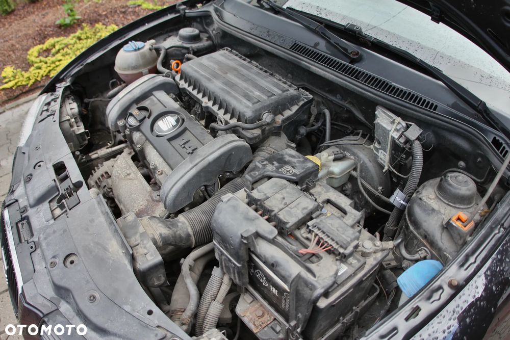 Seat Ibiza - 39