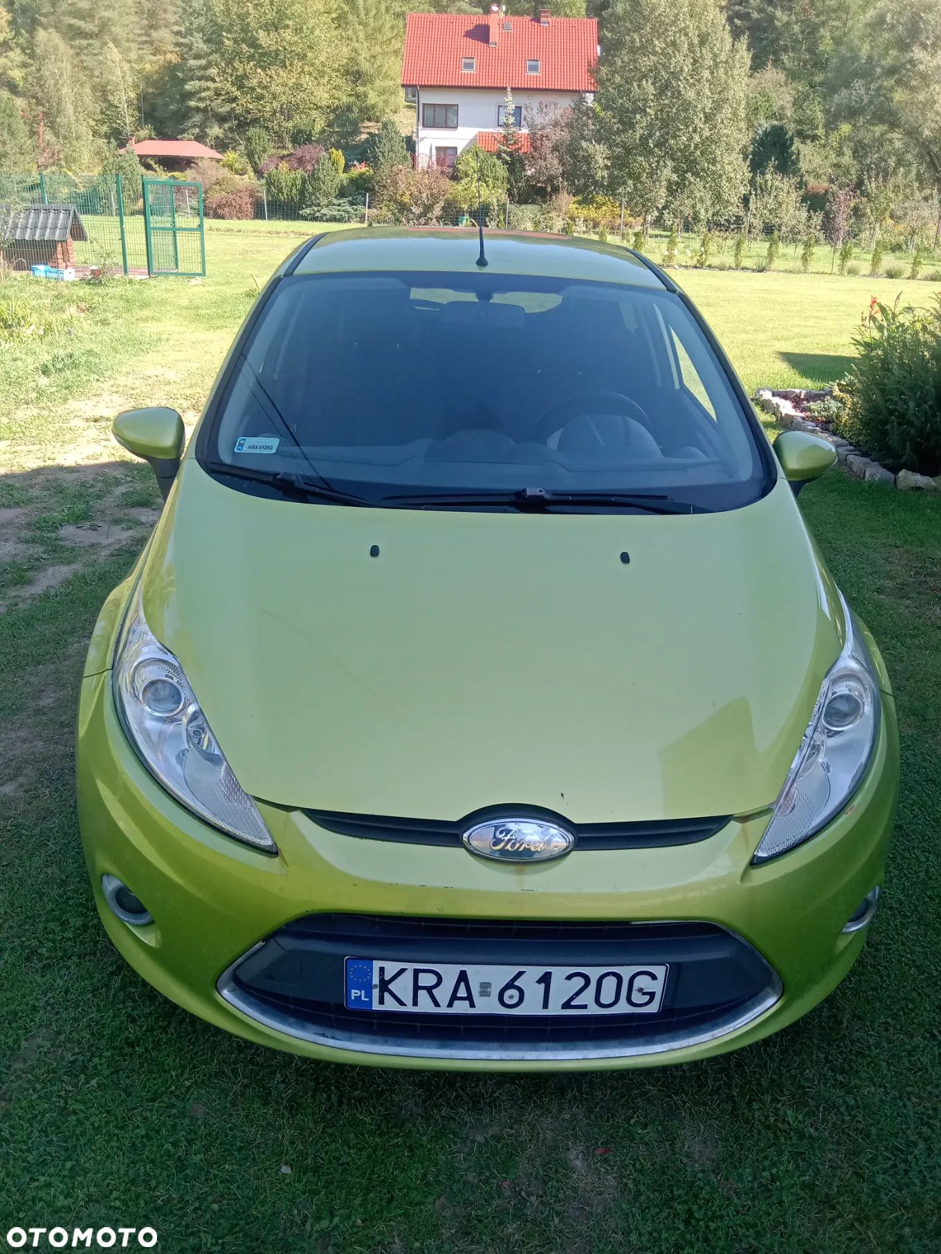 Ford Fiesta - 1