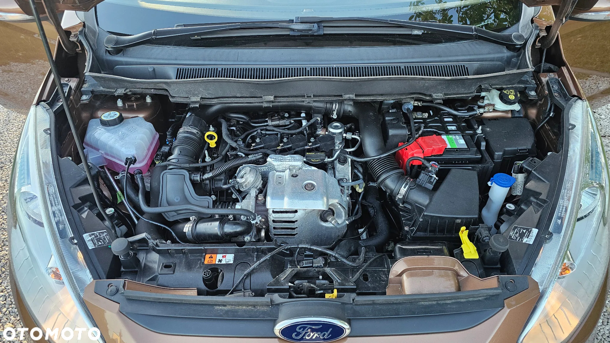 Ford B-MAX 1.0 EcoBoost Trend - 32