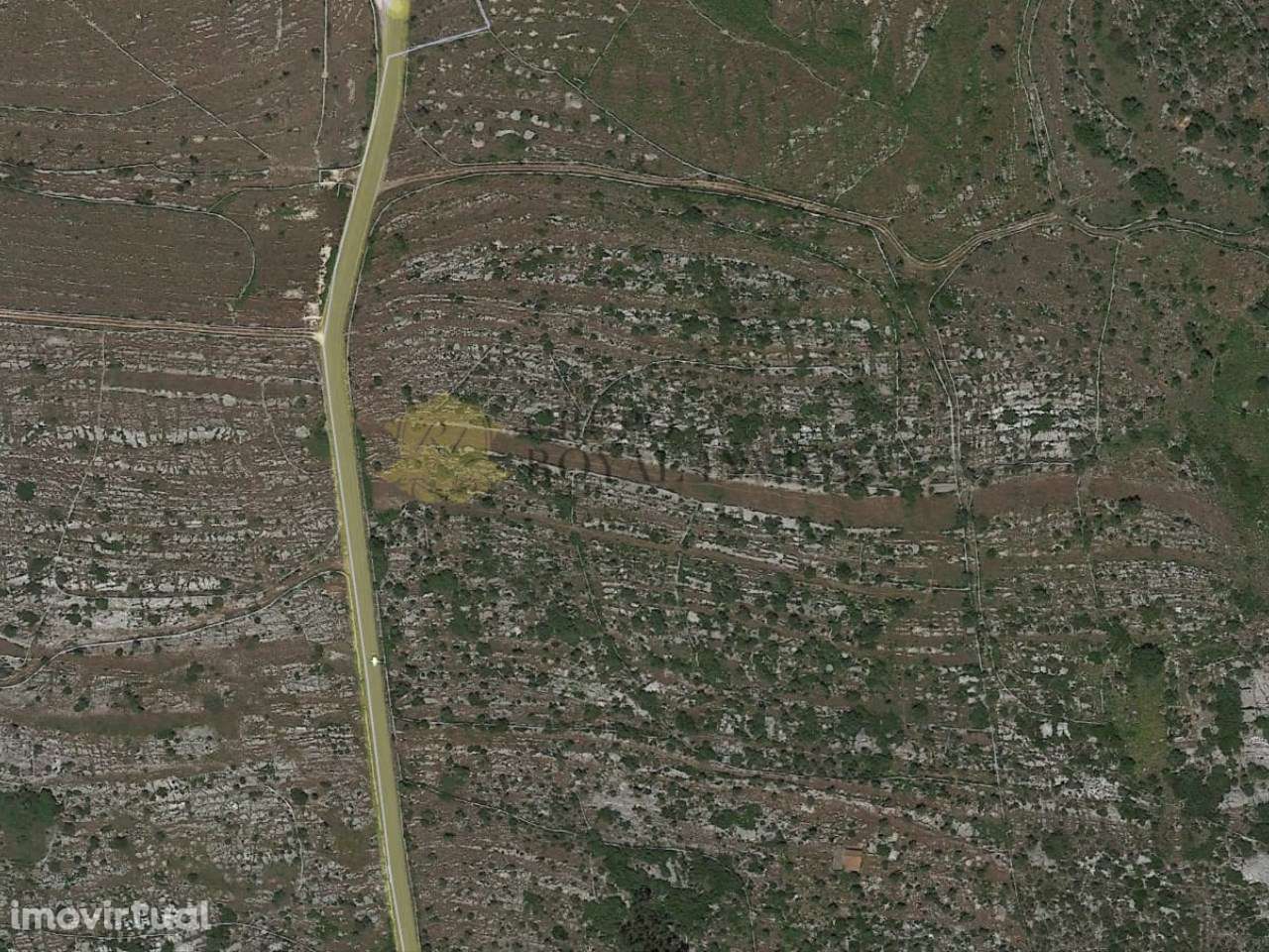 Terreno com 43000 m2 em Alcanena - Santarém - Grande imagem: 4/4