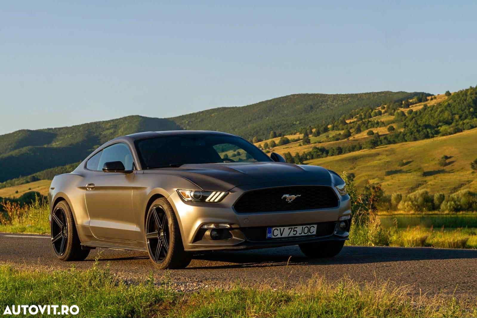 Ford Mustang - 1