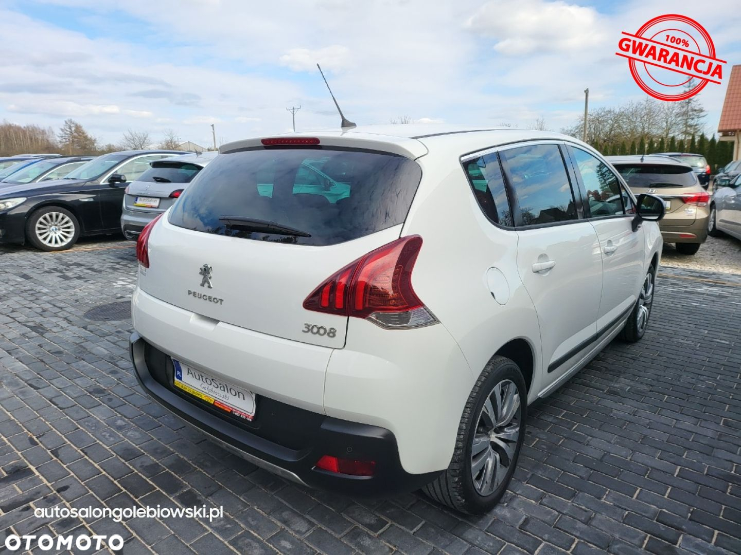 Peugeot 3008 - 15