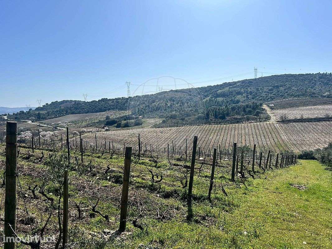 Terreno  para venda - Grande imagem: 2/19