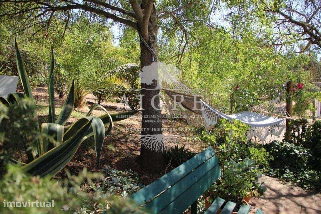 Quinta com 16 Ha com 4 moradias e piscina- Ideal para habitação, inves - Grande imagem: 4/18