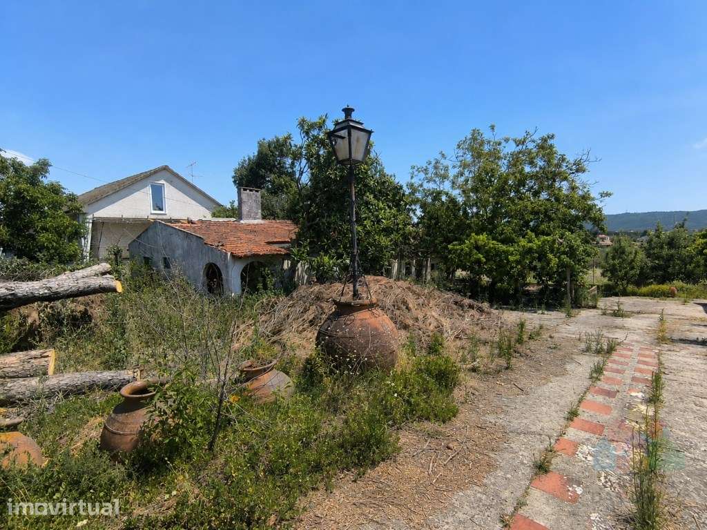 Quinta com 16 mil m2 em excelente localização - Tomar - Grande imagem: 4/19