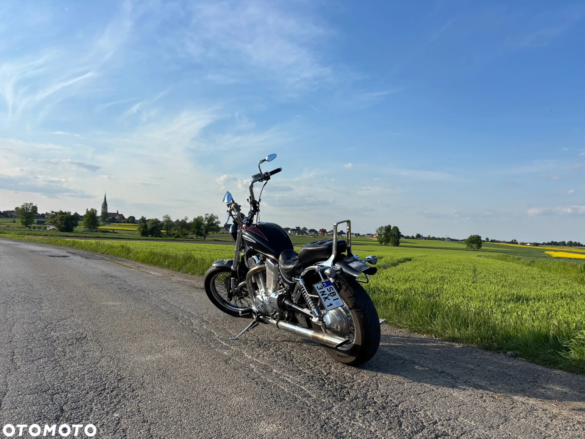 Suzuki VS - 3