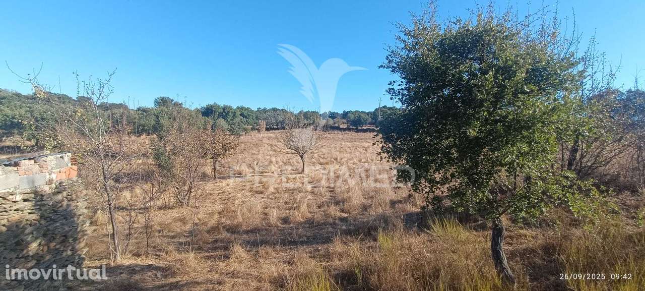 ? Terreno Rústico à Venda – Com Árvores de Fruto, Apoio Agrícola e... - Grande imagem: 5/25