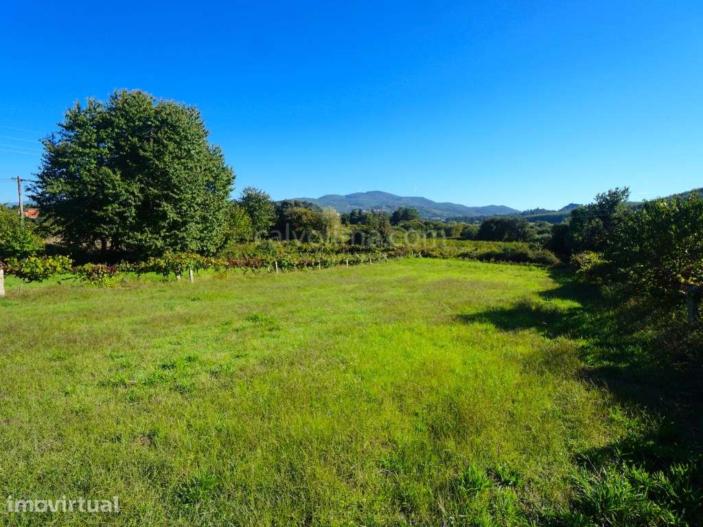 Terreno em zona de construção para venda, localizado na freguesia d... - Grande imagem: 4/8