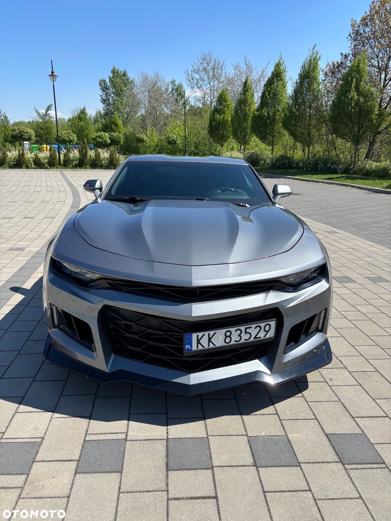 Chevrolet Camaro Coupe 2.0 - 1