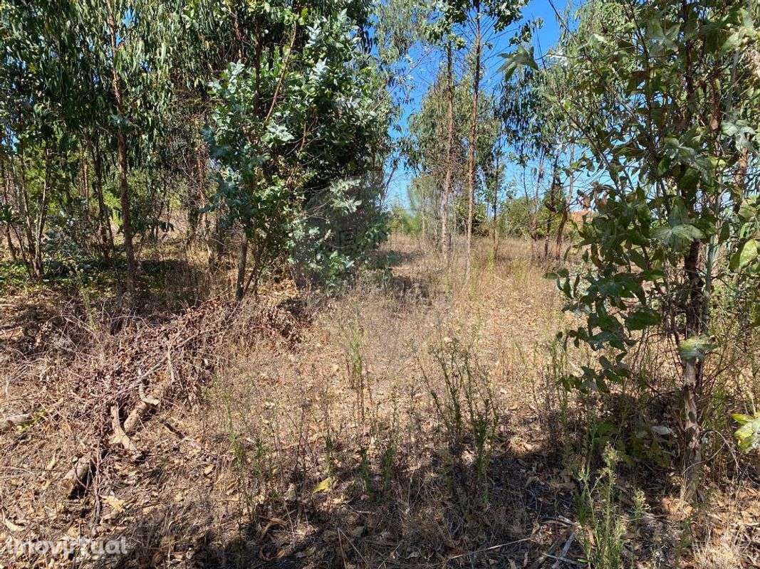 Terreno  para venda - Grande imagem: 3/5